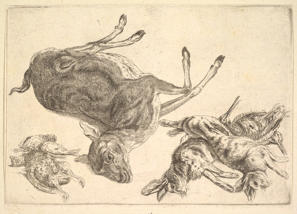 Dead deer, hares and game MET DP823974