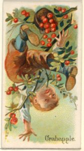 Crabapple, from the Fruits series (N12) for Allen & Ginter Cigarettes Brands MET DP834614