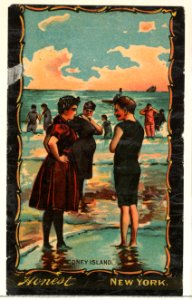 Coney Island, from the Transparencies series (N137) issued by W. Duke, Sons & Co. to promote Honest Long Cut Tobacco MET DP865655. Free illustration for personal and commercial use.