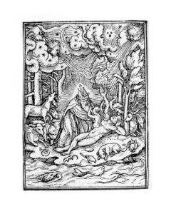 Creation of Eve, from The Dance of Death MET MM89754