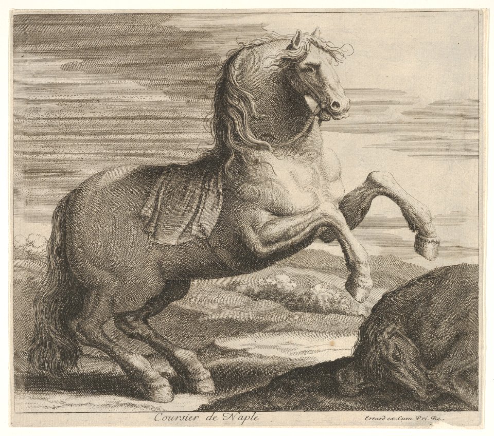Coursier de Naple MET DP832468