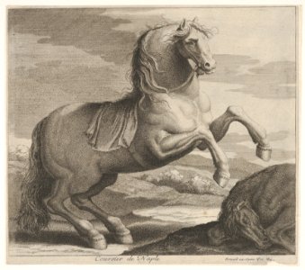 Coursier de Naple MET DP832468