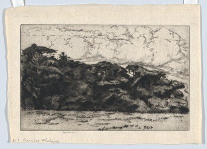 Cypress Phalanx MET DP873082