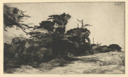Cypress Study No. 2 MET DP845680
