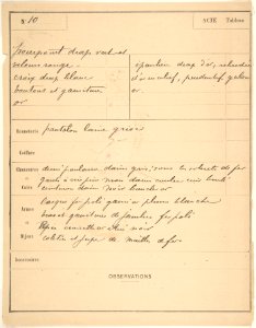 Costume Design for "Officiers du duc Frédéric" -a-; Descriptive Sheet of Costume Accessories -b- MET DP805203