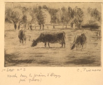 Cows in the Fields of Éragny, near Gisors MET DP821729