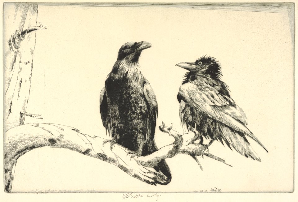 Conversation Piece - Ravens MET DP832890