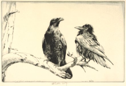Conversation Piece - Ravens MET DP832890