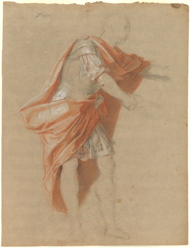 Coriolanus Standing MET DP213765
