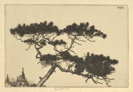 Crippled Pine MET DP845470