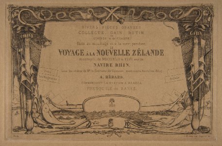 Cover- The Voyage to New Zealand (1842 - 46) MET DP813260