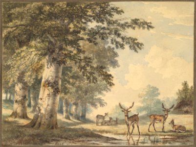 Deer under Beech Trees in Winter MET DP827272