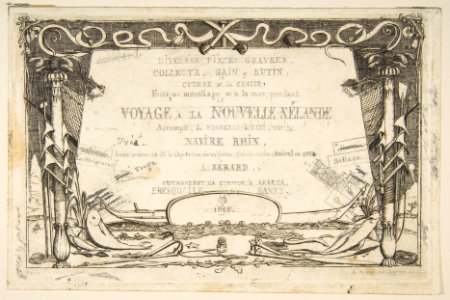 Cover- The Voyage to New Zealand (1842 - 46) MET DP813259