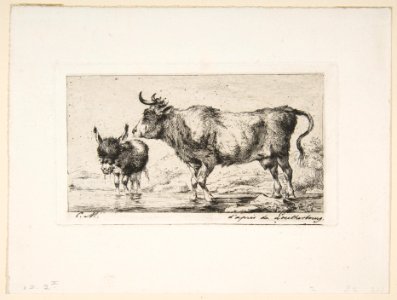 Cow and Ass, after de Loutherbourg MET DP813121