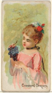 Concord Grapes, from the Fruits series (N12) for Allen & Ginter Cigarettes Brands MET DP834613