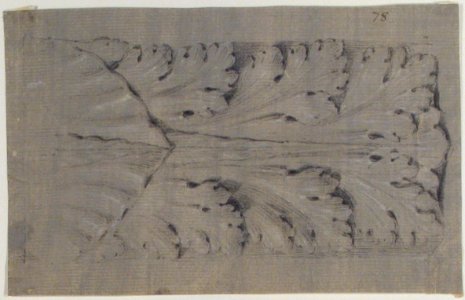 Design for a Leaf Motif MET 63.712.11