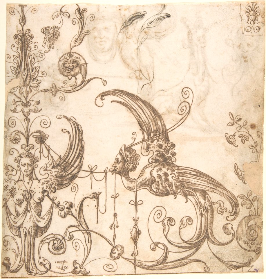 Design for a Grotesque Decoration; Grotesques with a Lion, Fantastical Creature, Mask, and Bird (verso) MET DP800587