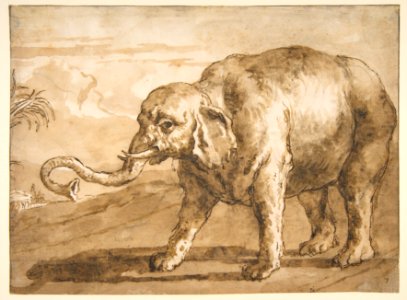 Elephant in a Landscape MET DP812117