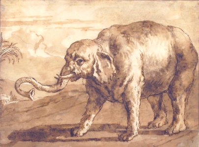 Elephant in a Landscape MET 60.12