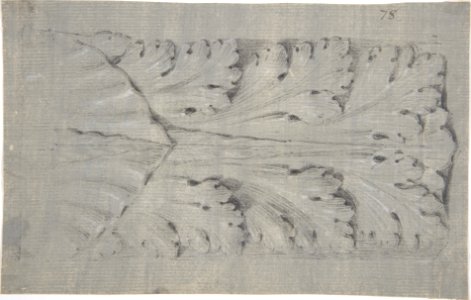 Design for a Leaf Motif MET DP809212