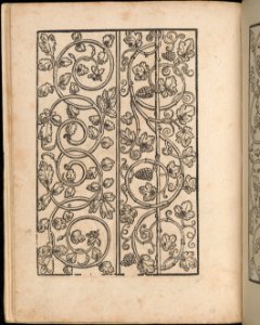 Ein new Modelbuch..., page 4 (verso) MET DP363380