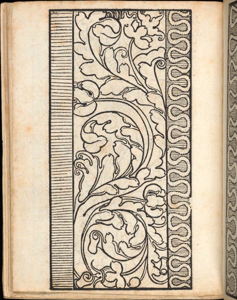 Ein new Modelbuch..., page 7 (verso) MET DP363392