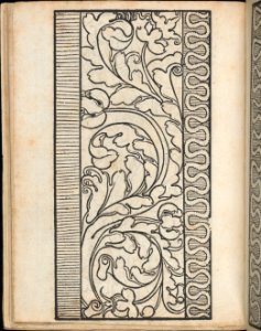 Ein new Modelbuch..., page 7 (verso) MET DP363392