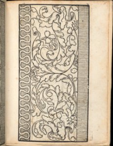 Ein new Modelbuch..., page 8 (recto) MET DP363393
