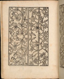 Ein new Modelbuch..., page 5 (verso) MET DP363384