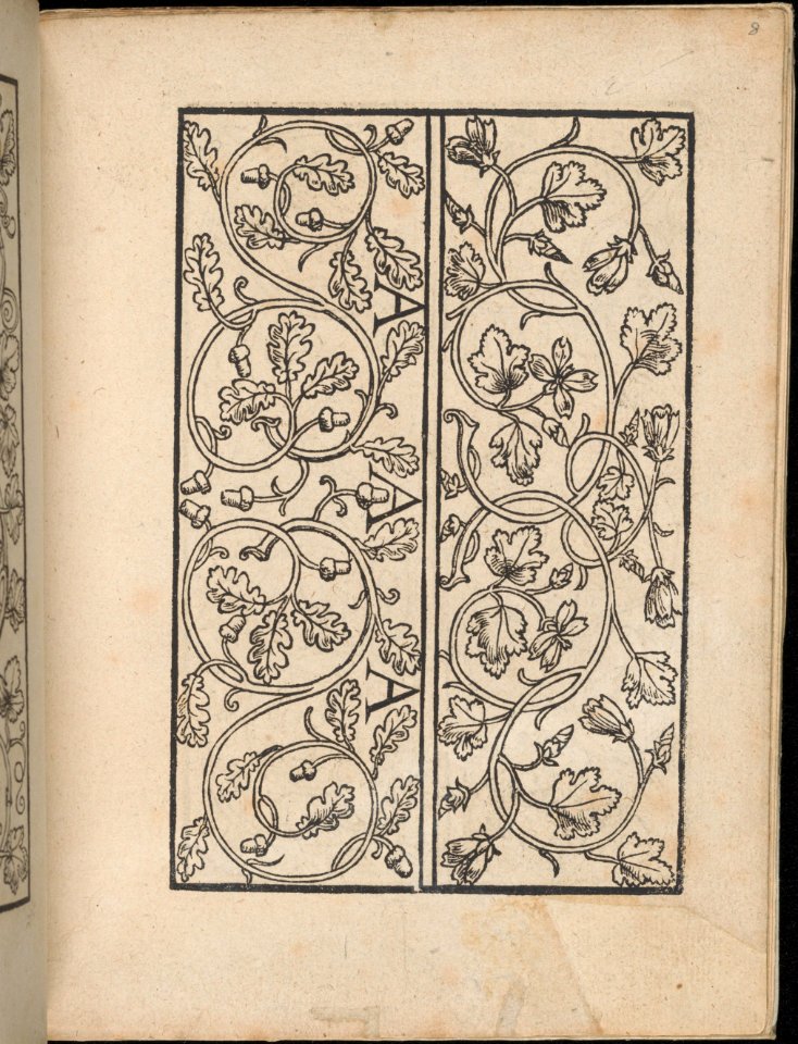Ein new Modelbuch..., page 4 (verso) MET DP363379