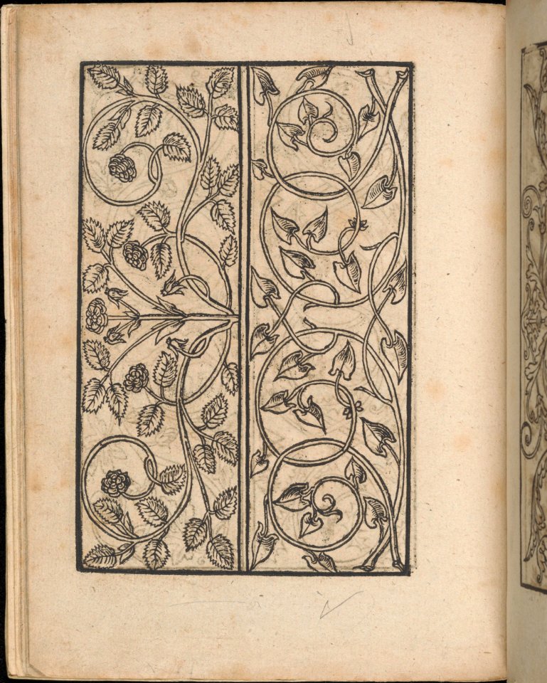 Ein new Modelbuch..., page 6 (recto) MET DP363386