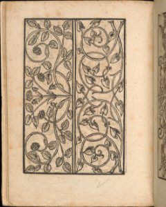 Ein new Modelbuch..., page 6 (recto) MET DP363386