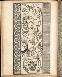Ein new Modelbuch..., page 8 (verso) MET DP363396