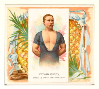 Edwin Bibby, Catch as Catch Can- Wrestler, from World's Champions, Second Series (N43) for Allen & Ginter Cigarettes MET DP839307