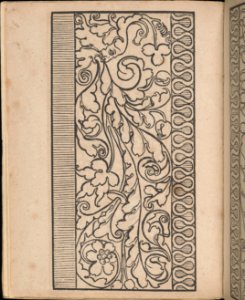 Ein new Modelbuch..., page 2 (recto) MET DP363370
