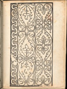 Ein new Modelbuch..., page 8 (verso) MET DP363395