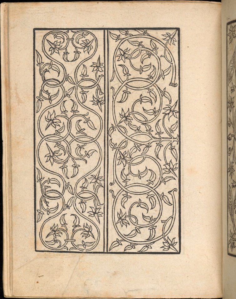 Ein new Modelbuch..., page 5 (recto) MET DP363382