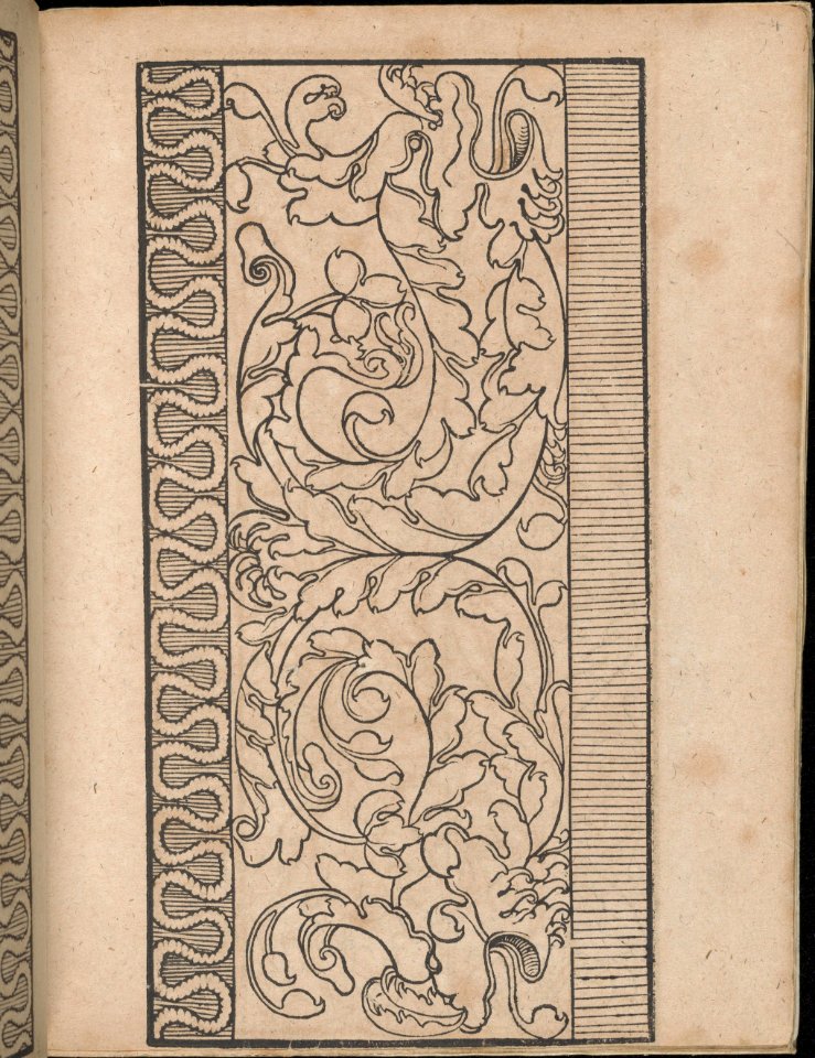 Ein new Modelbuch..., page 2 (verso) MET DP363371