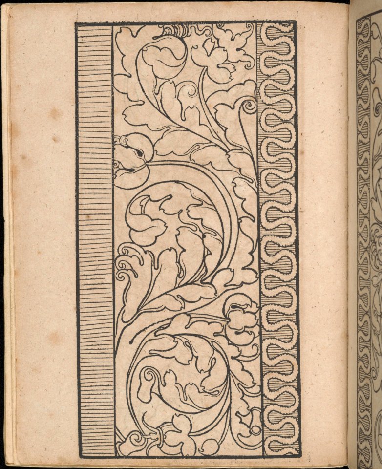Ein new Modelbuch..., page 2 (verso) MET DP363372