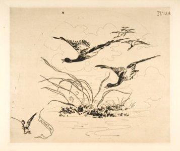 Ducks (Decoration for a Plate) MET DP814352