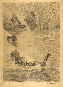 Ducks' Pastime MET DP814163