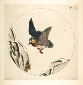 Duck Flying with Snow Covered Branches (Decoration for a Plate) MET DP814348