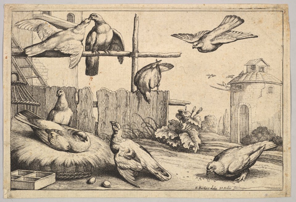 Eight doves MET DP823983
