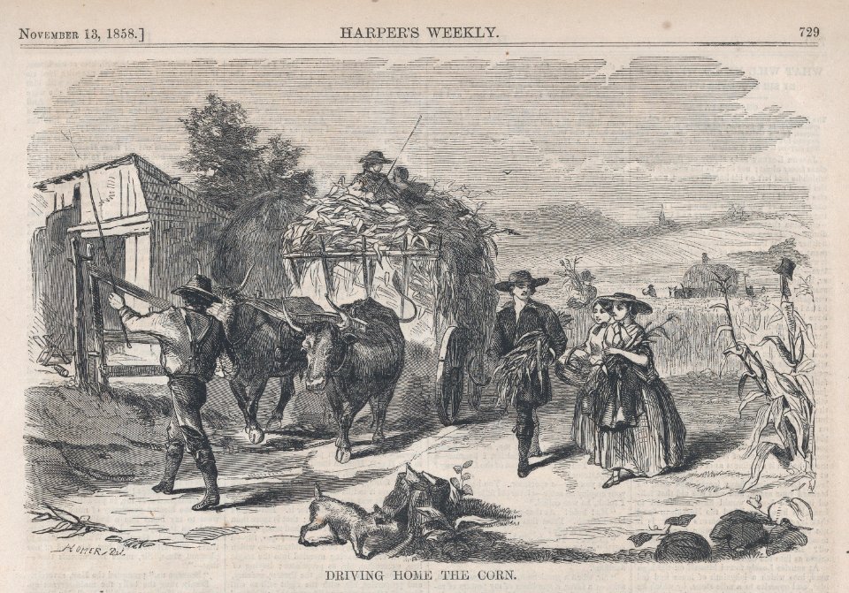 Driving Home the Corn and Dance after the Husking (Harper's Weekly, Vol. II) MET DP875164