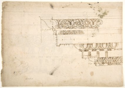 Domus Augustiana, cornice, elevation in profile, ornamental detailing (recto) Unidentified, cornice, elevation in profile, ornamental detailing (verso) MET DP810855