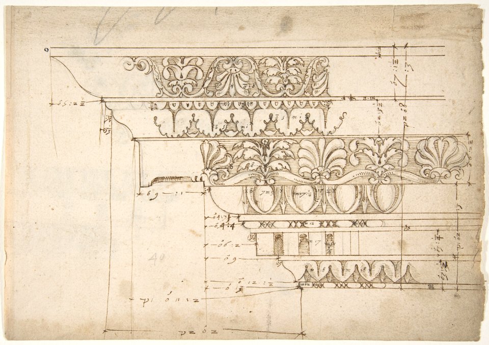 Domus Augustiana, cornice, elevation in profile, ornamental detailing (recto) Unidentified, cornice, elevation in profile, ornamental detailing (verso) MET DP810854
