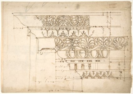 Domus Augustiana, cornice, elevation in profile, ornamental detailing (recto) Unidentified, cornice, elevation in profile, ornamental detailing (verso) MET DP810854