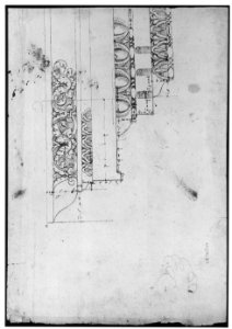 Domus Augustiana, cornice, elevation in profile, ornamental detailing (recto) Unidentified, cornice, elevation in profile, ornamental detailing (verso) MET sf68 769 16v-MM43639