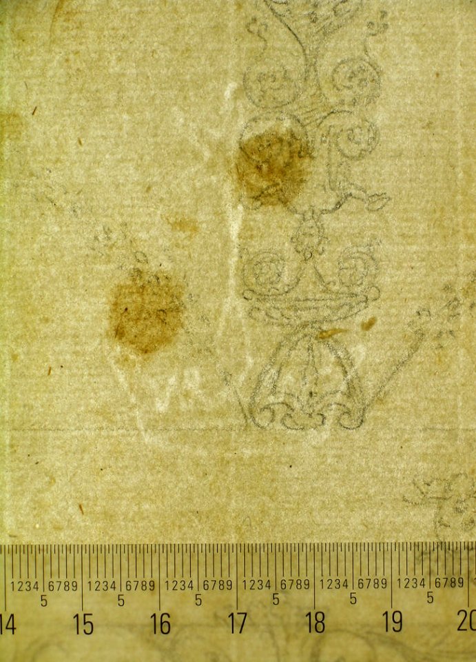 Domus Aurea, Volta Gialla, grotteschi, details (recto) Unidentified building, thermal window, elevation (verso) MET sf68 769 67-watermark
