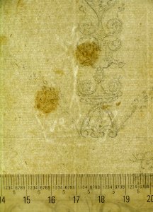 Domus Aurea, Volta Gialla, grotteschi, details (recto) Unidentified building, thermal window, elevation (verso) MET sf68 769 67-watermark